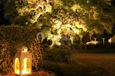 Éclairage nocturne mettant en valeur des arbres et des buissons dans un jardin sombre.