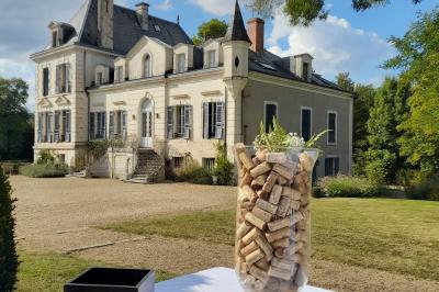 Éclairage nocturne mettant en valeur des arbres et des buissons dans un jardin sombre.
