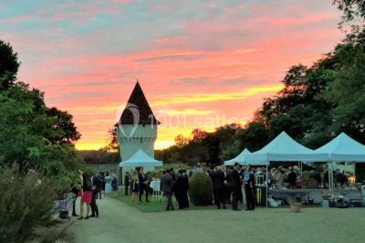Éclairage nocturne mettant en valeur des arbres et des buissons dans un jardin sombre.