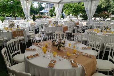 Éclairage nocturne mettant en valeur des arbres et des buissons dans un jardin sombre.