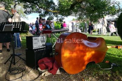 Éclairage nocturne mettant en valeur des arbres et des buissons dans un jardin sombre.