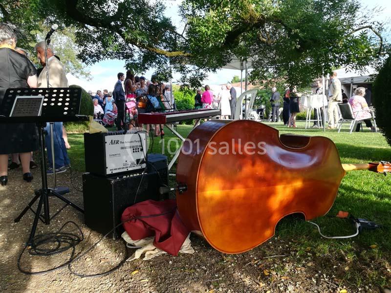 Contrebasse posée au sol près d'un amplificateur, dans un jardin lors d'un événement en plein air.