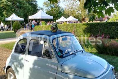 Éclairage nocturne mettant en valeur des arbres et des buissons dans un jardin sombre.