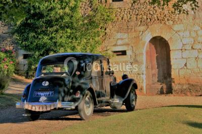 Éclairage nocturne mettant en valeur des arbres et des buissons dans un jardin sombre.