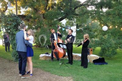 Éclairage nocturne mettant en valeur des arbres et des buissons dans un jardin sombre.
