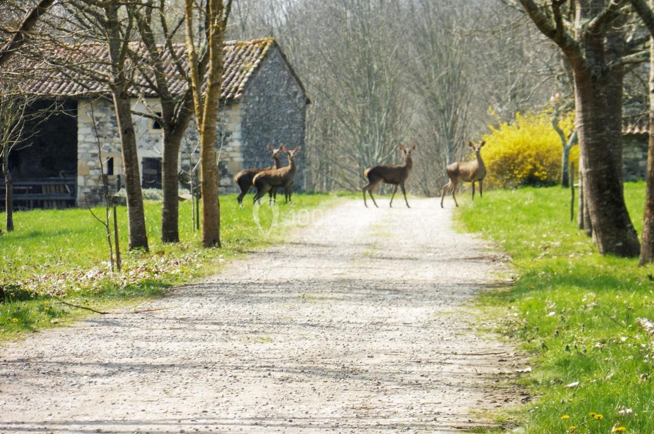 Location salle Saint-Martory (Haute-Garonne) - Chateau de Saint Martory #28 Location salle Saint-Martory (Haute-Garonne) - Chateau de Saint Martory #28