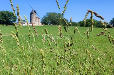 Moulin de la Noue Ronde - photo 2