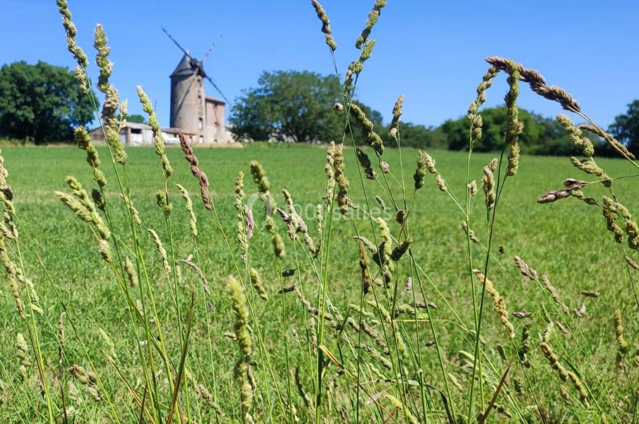 Moulin de la Noue Ronde - galerie - photo 2