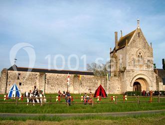 Location salle Parçay-Meslay (Indre-et-Loire) - Grange De Meslay #5