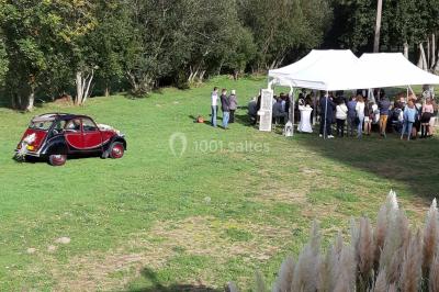 Radiateur sèche-serviettes blanc fixé sur un mur bleu, près d'un lavabo et d'étagères ouvertes.