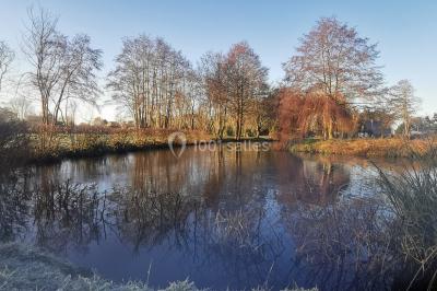 Radiateur sèche-serviettes blanc fixé sur un mur bleu, près d'un lavabo et d'étagères ouvertes.