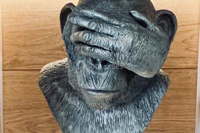 Miniature Location salle Lille (Nord) - Les Trois Singes #9 Location salle Lille (Nord) - Les Trois Singes #15