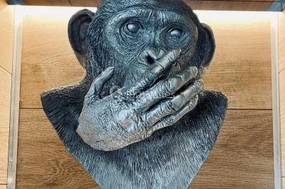 Miniature Location salle Lille (Nord) - Les Trois Singes #10 Location salle Lille (Nord) - Les Trois Singes #15