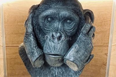 Miniature Location salle Lille (Nord) - Les Trois Singes #11 Location salle Lille (Nord) - Les Trois Singes #15