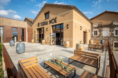 Domaine Terra Noé - photo 5