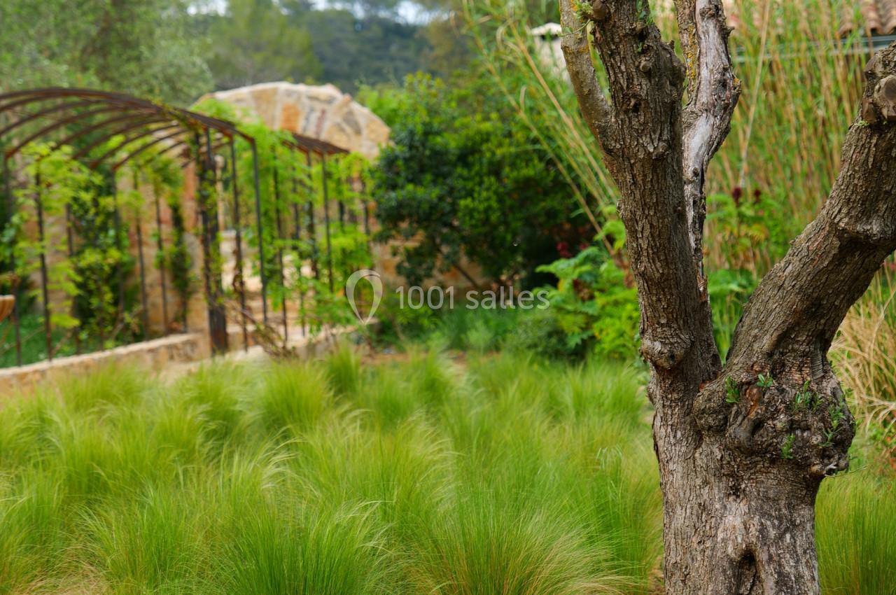 Domaine La Cascade d'Argens - galerie - photo 5