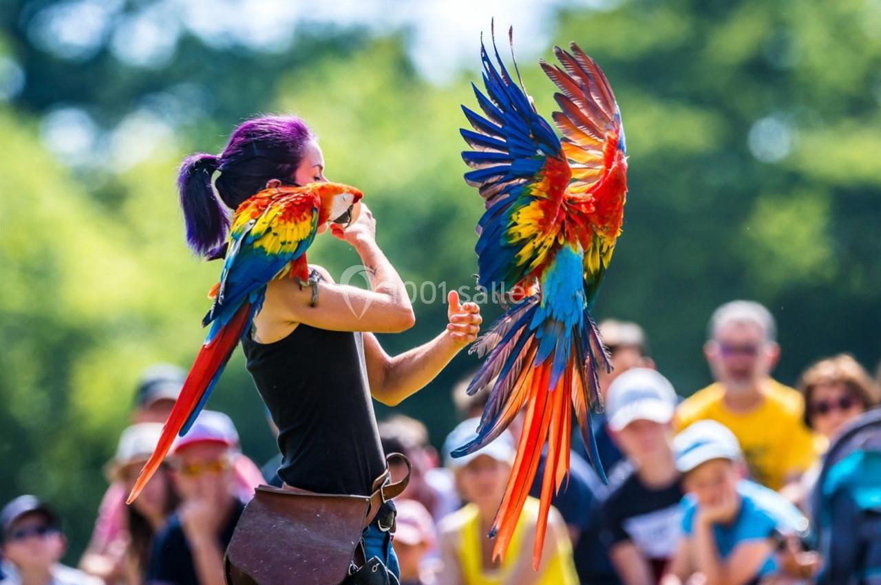 Une femme interagit avec deux aras colorés en plein vol lors d'une démonstration en extérieur devant un public.