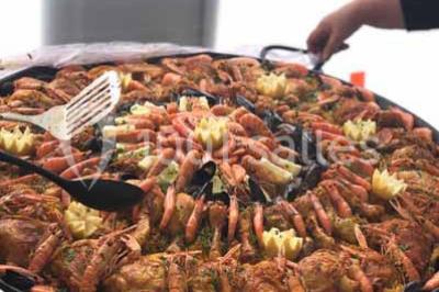 Plateaux de bouchées apéritives variées comprenant canapés, roulés, mini-brochettes et tartines décorées.