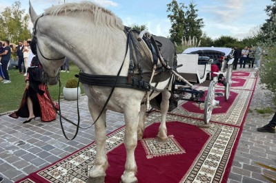 Un groupe de personnes en tenue traditionnelle célèbre un événement sous des lustres dans une grande salle éclairée.