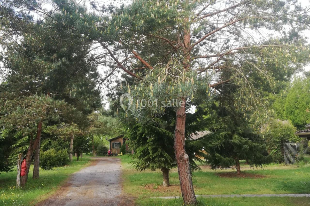 Allée bordée de pins et de pelouses, menant à une petite maison en bois entourée de végétation.