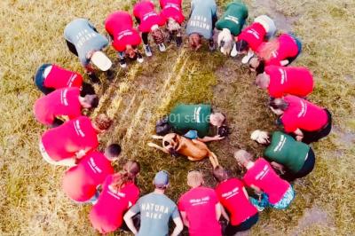 Miniature Location salle Froidchapelle (Hainaut) - Le Refuge du Badon #16 Dépliant sur des trottinettes électriques tout terrain posé sur une table avec viennoiseries et jus d'orange en arrière-plan.