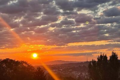 Miniature Location salle Mareil-Marly (Yvelines) - La Canopée de Mareil #14 Location salle Mareil-Marly (Yvelines) - La Canopée de Mareil #30
