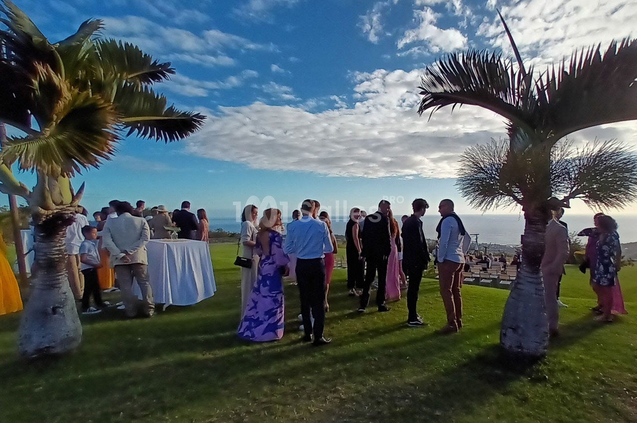 Groupe de personnes discutant en plein air sur une pelouse, entouré de palmiers, avec vue sur la mer et le ciel dégagé.