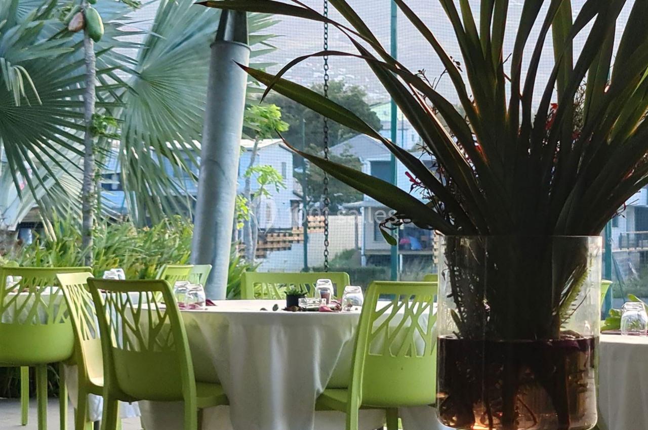 Plantes en pot au premier plan avec des tables dressées et des chaises vertes en arrière-plan dans un espace extérieur.