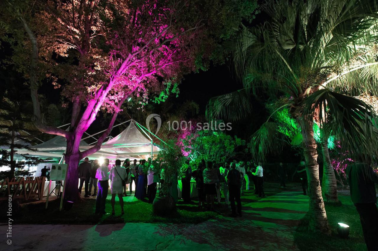Groupe de personnes rassemblées sous des arbres éclairés par des lumières colorées, près d'une structure en toile, de nuit.