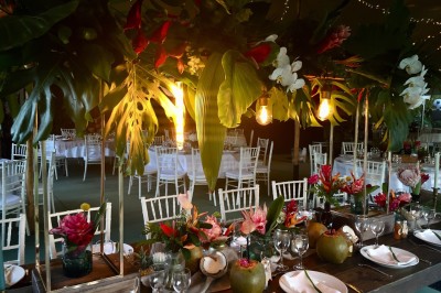Jardin d'Eden Event - photo 4