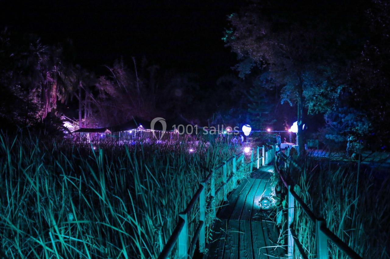 Passerelle en bois traversant une végétation dense, éclairée par des lumières violettes dans un environnement nocturne.