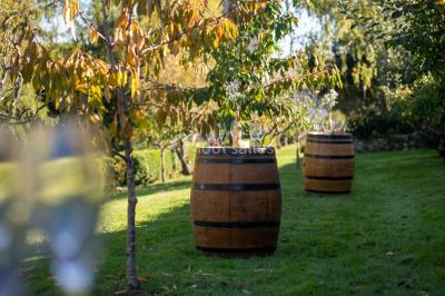Location salle Villié-Morgon (Rhône) - Château Grange Cochard #20