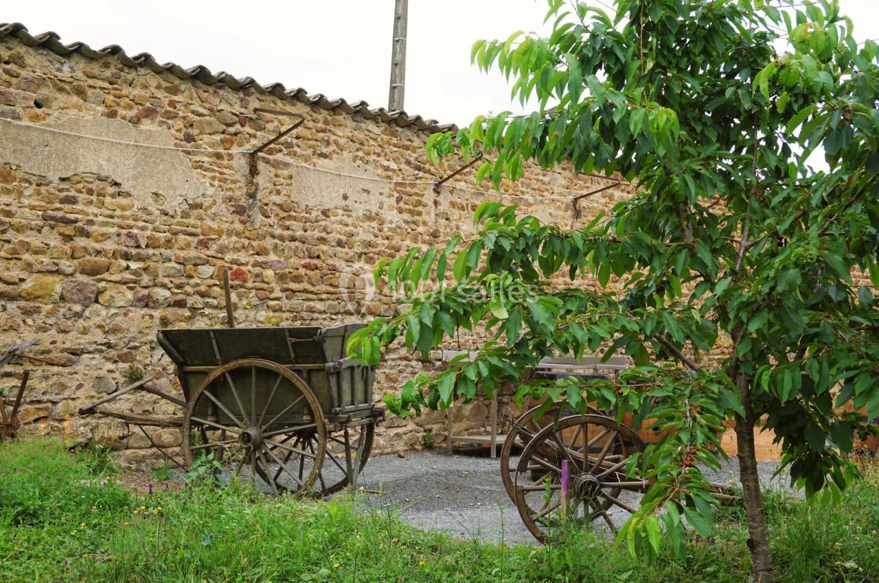 Location salle Villié-Morgon (Rhône) - Château Grange Cochard #7