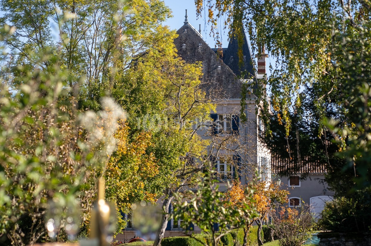 Château Grange Cochard - galerie - photo 6