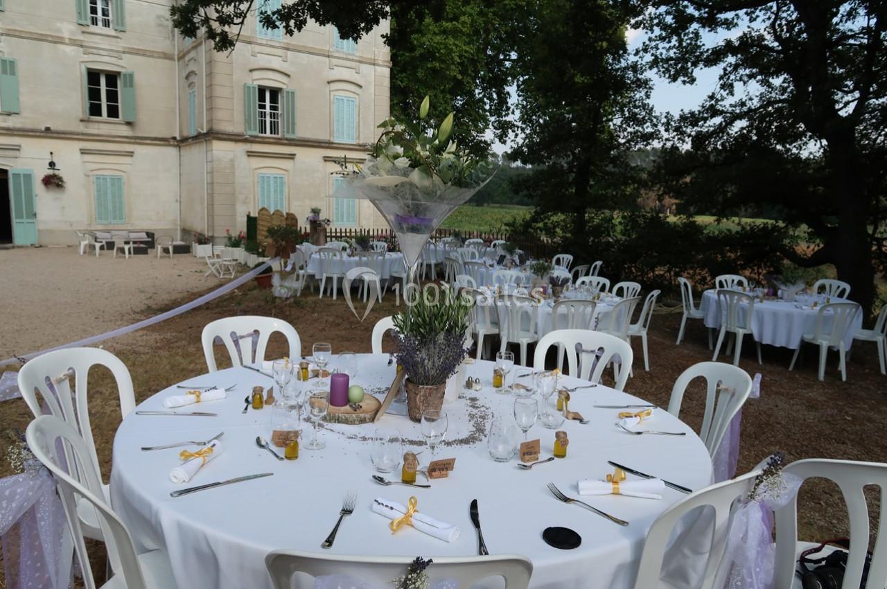 Château de l'Orangerie Touloubre - galerie - photo 5