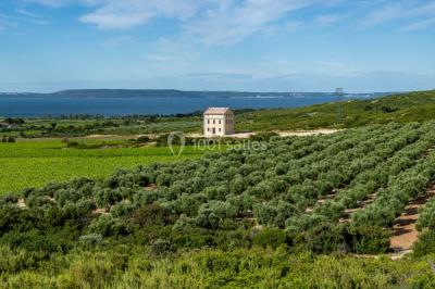 Villa Bellevue Château Calissanne - photo 1