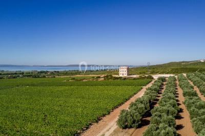 Villa Bellevue Château Calissanne - photo 5
