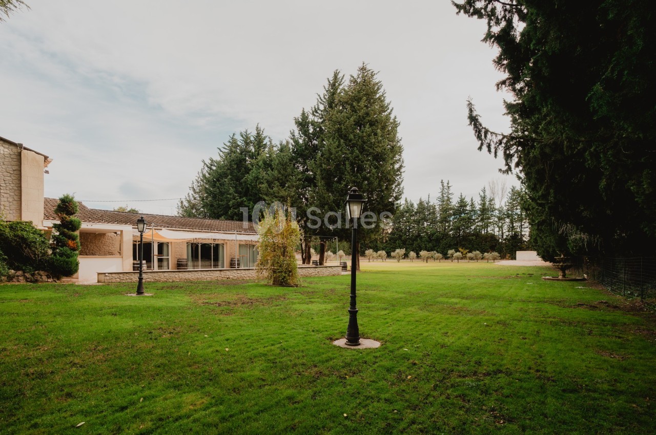 Grande pelouse bordée d'arbres avec une maison en arrière-plan et des lampadaires noirs.