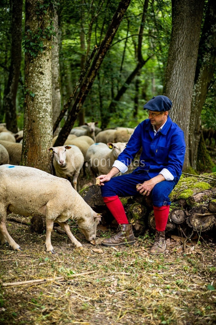 Un berger assis sur un tronc caresse un mouton dans une forêt entourée de son troupeau.