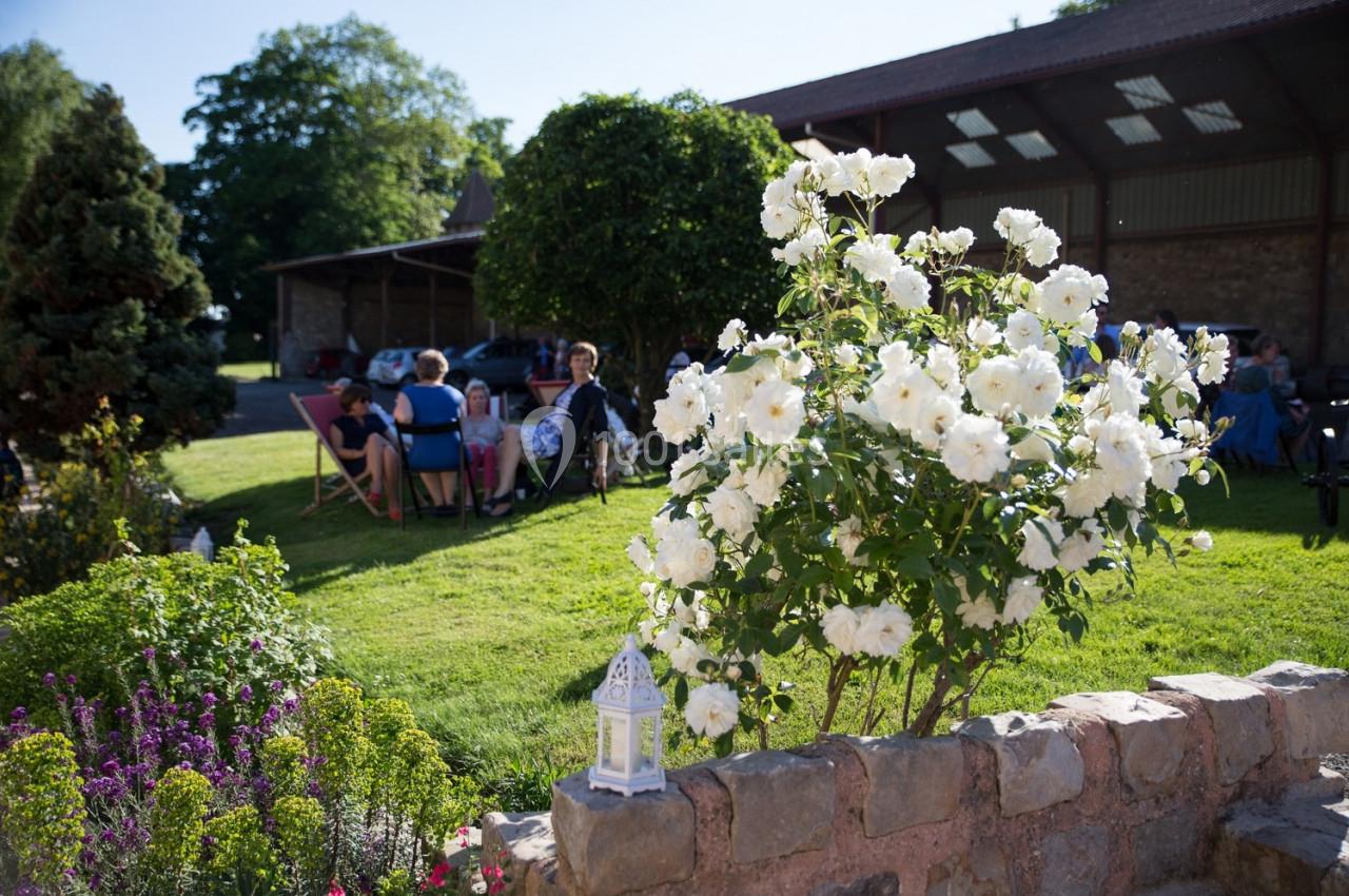 Un rosier blanc en fleurs devant un muret en pierre, avec des personnes assises dans un jardin en arrière-plan.