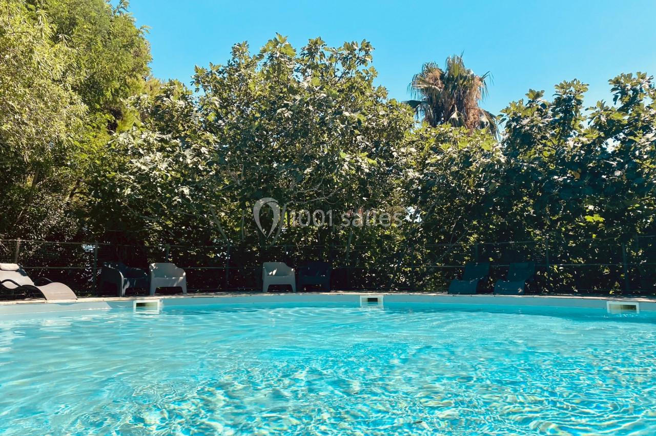 Piscine extérieure entourée de végétation dense sous un ciel bleu clair.