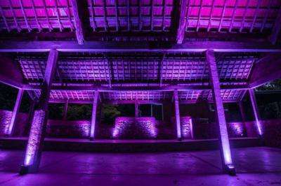 Structure en bois d'une halle éclairée par des lumières violettes, avec un toit en tuiles et des piliers en pierre.