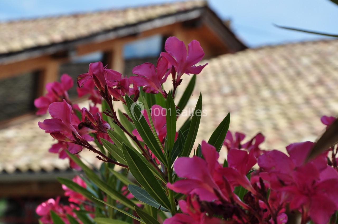 Location salle Francheleins (Ain) - Domaine d'Amareins #49