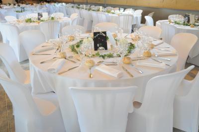 Location salle Francheleins (Ain) - Domaine d'Amareins #71