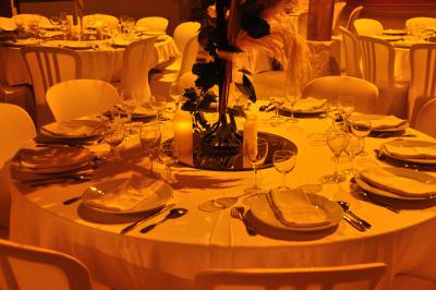 Location salle Francheleins (Ain) - Domaine d'Amareins #71