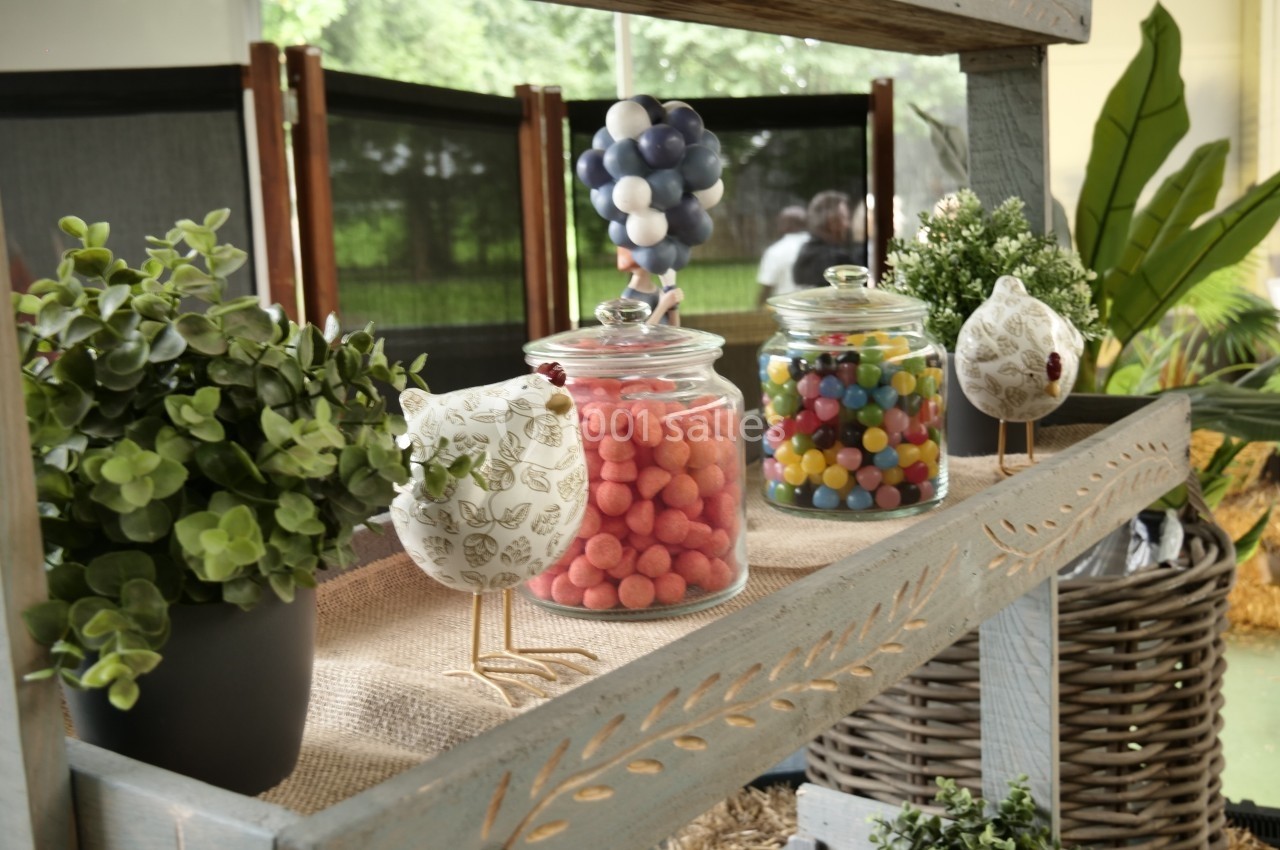 Bocaux de bonbons colorés sur une étagère en bois, entourés de plantes et de décorations en forme de poules.