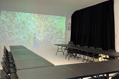 Miniature Location salle Paris 20 (Paris) - Studio 7 #19 Salle avec des tables et chaises noires disposées en U, projection d’un paon coloré sur un mur blanc, rideaux noirs à droite.