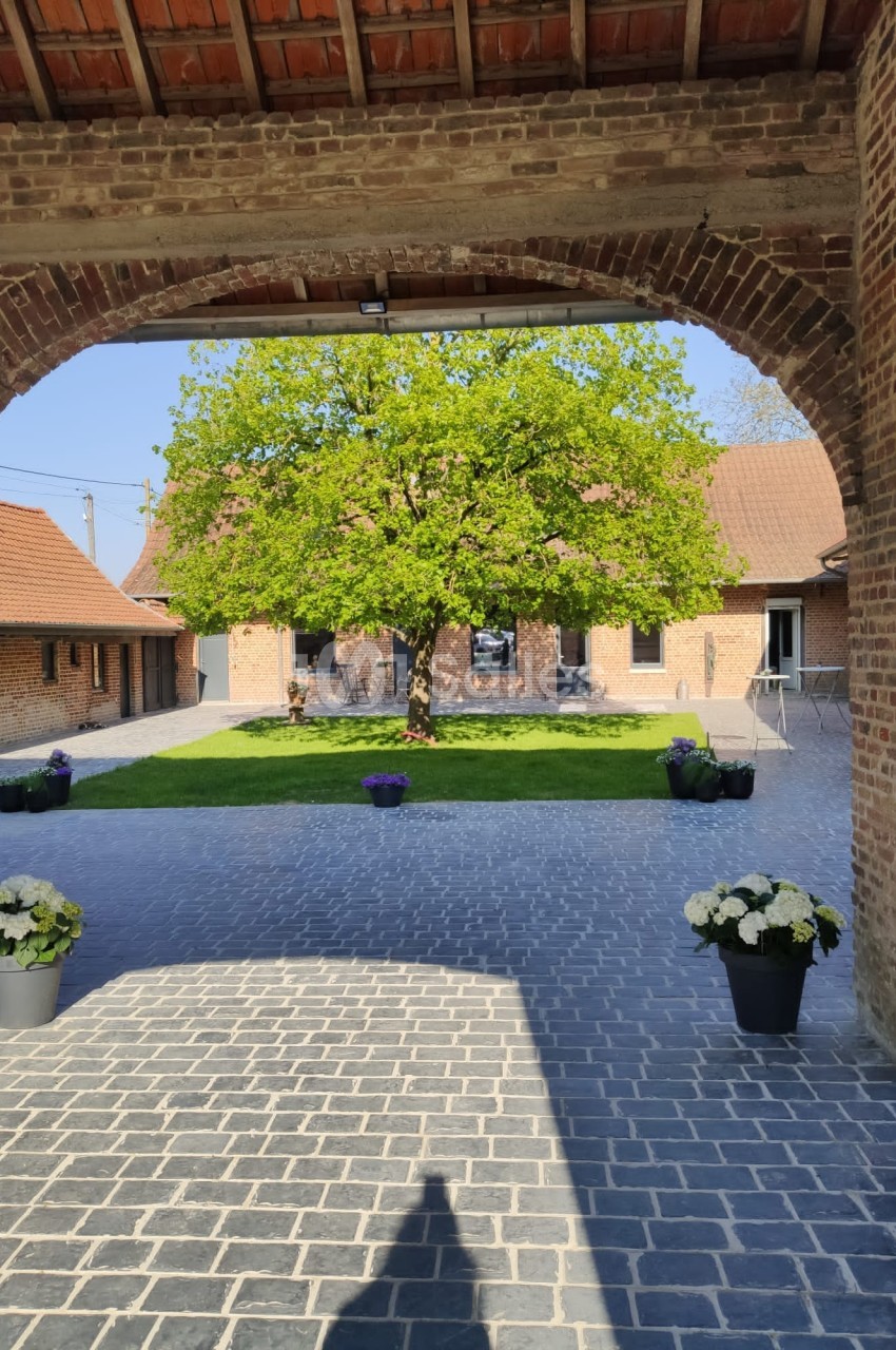 Vue d'une cour pavée avec un arbre central, entourée de bâtiments en briques et décorée de pots de fleurs.