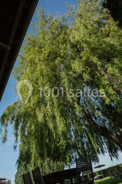 Le Clos Du Bac - galerie - photo 4
