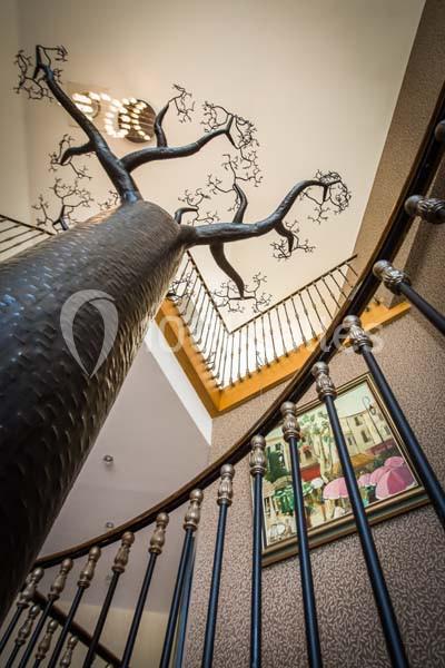 Location salle Nieppe (Nord) - Le Clos Du Bac #5